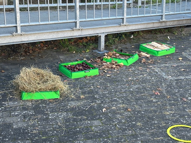 img_8274.jpg img_8274.jpg