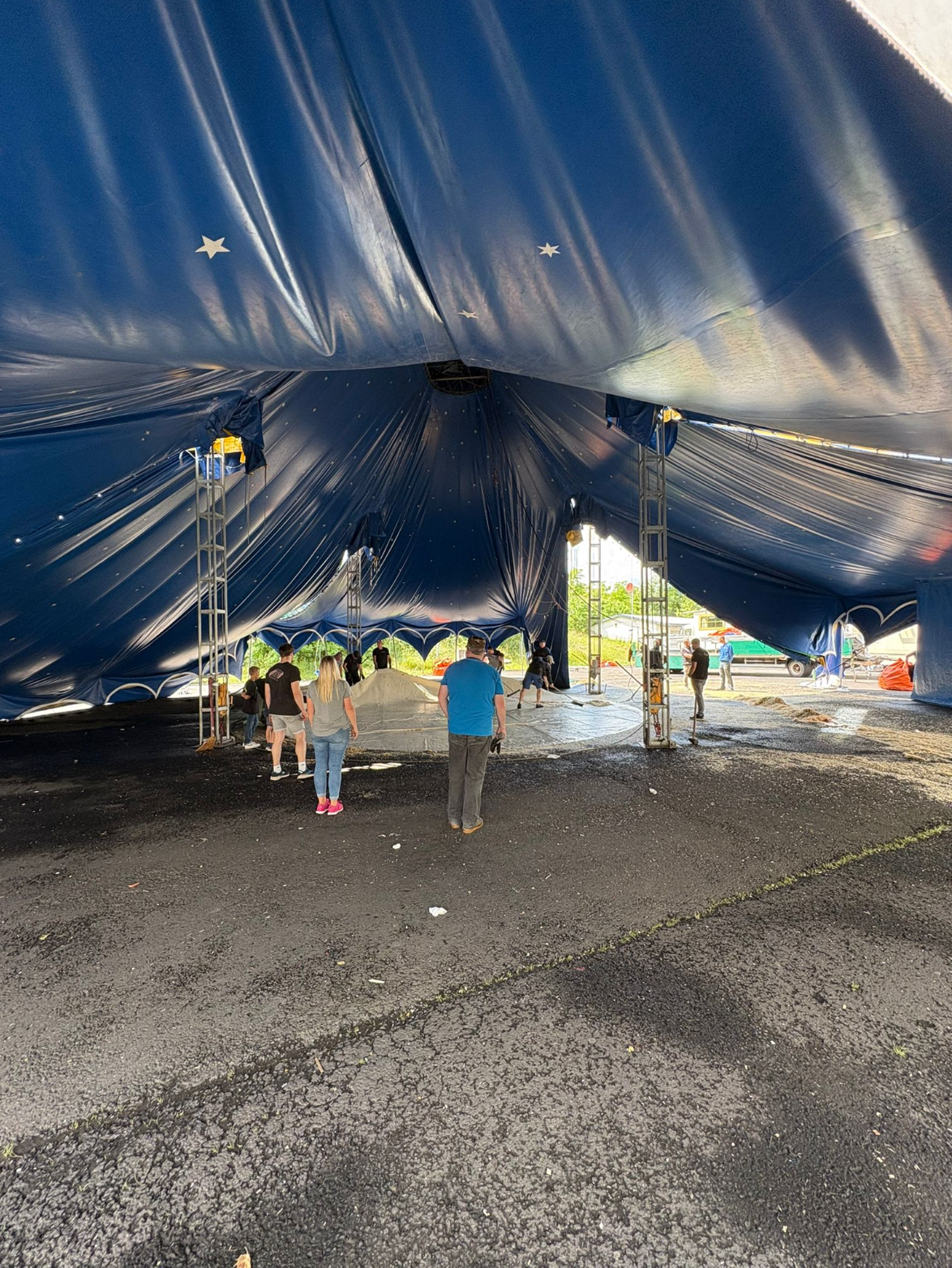 img_7641.png img_7641.png